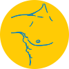 Mpct web site elemets lipoma